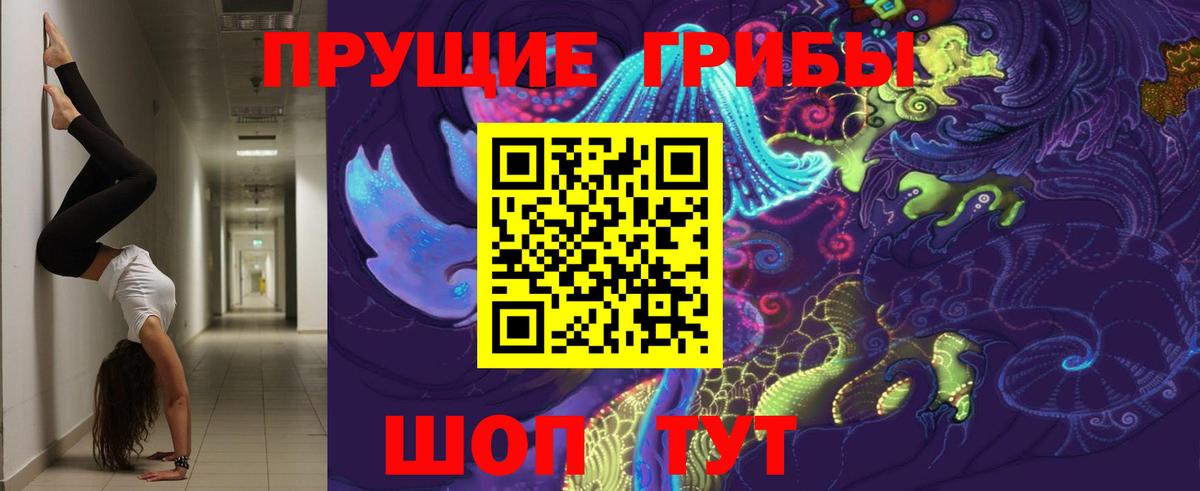 Дедовск  Галлюциногенные грибы GOLDEN TEACHER  Вход с VPN 