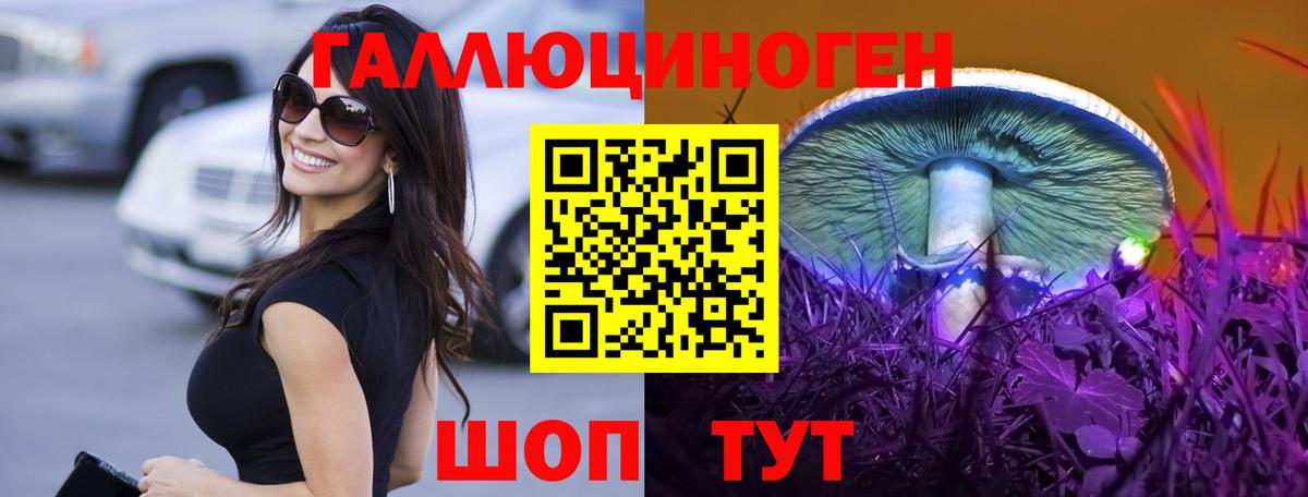 Псилоцибиновые грибы Cubensis Дедовск